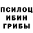 Псилоцибиновые грибы мицелий BTDiaz