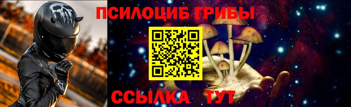 Псилоцибиновые грибы мухоморы Мелеуз